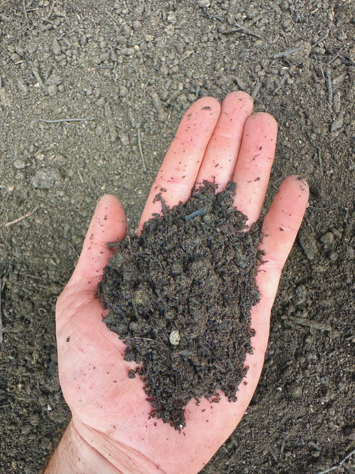 https://threez.infiaglobal.com/storage/photos/1/Products/Soil/Mixsoil/MIXSOIL 2.jpg